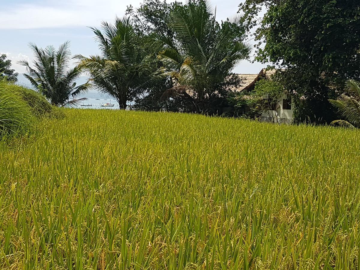 เกตาปัง รีสอร์ต Hotel Karanghawu ภายนอก รูปภาพ